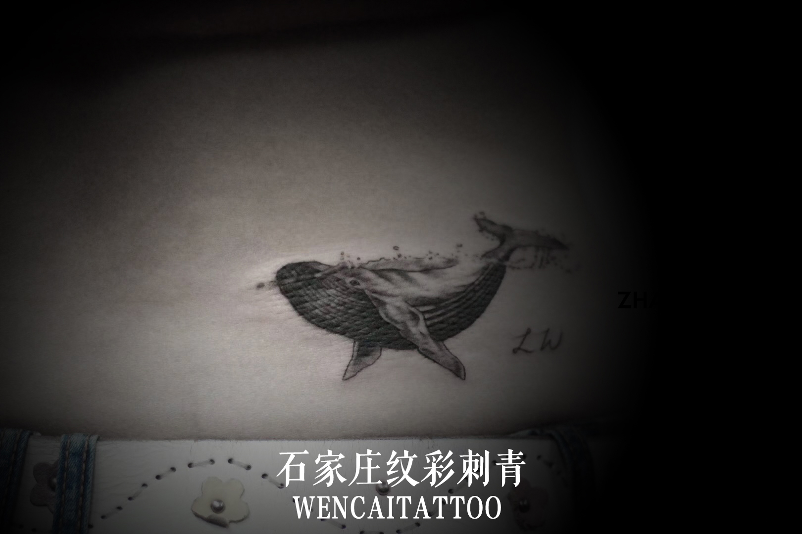 孟小姐侧腰上的鲸鱼纹身图案