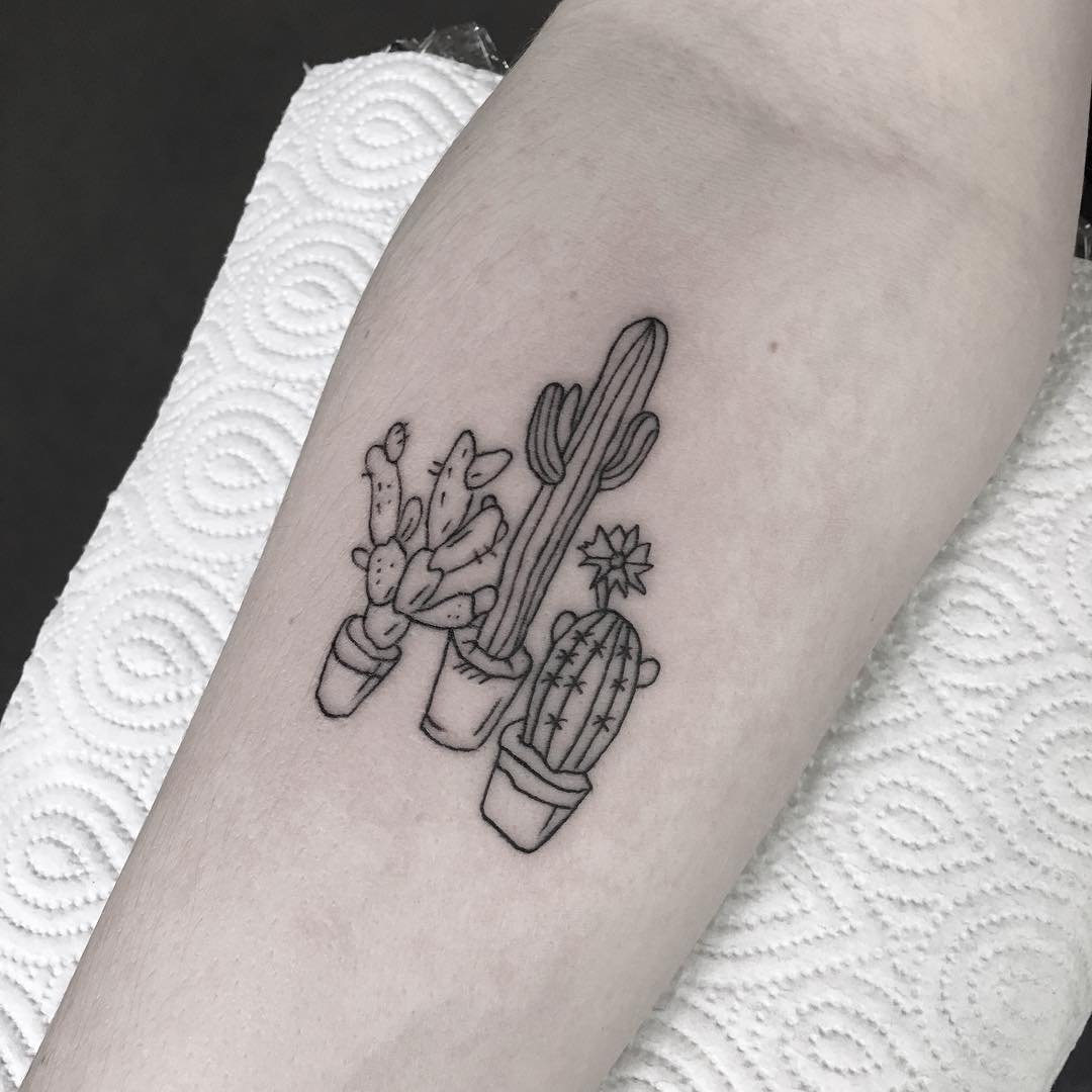 Сۺڻͼ